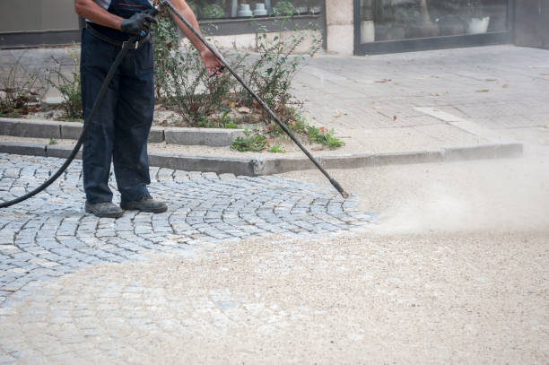 Best House Exterior Washing  in Roselle Park, NJ