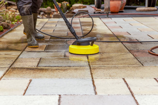 Best Animal Enclosure Cleaning  in Roselle Park, NJ